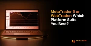 MetaTrader 5 or WebTrader: Which Platform Suits You Best?